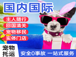 贵阳航空托运国际宠物托运 【国